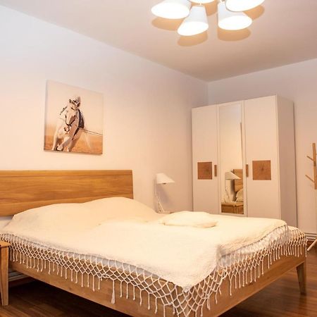 Classic Apartment Near The City Center Kolozsvár Kültér fotó