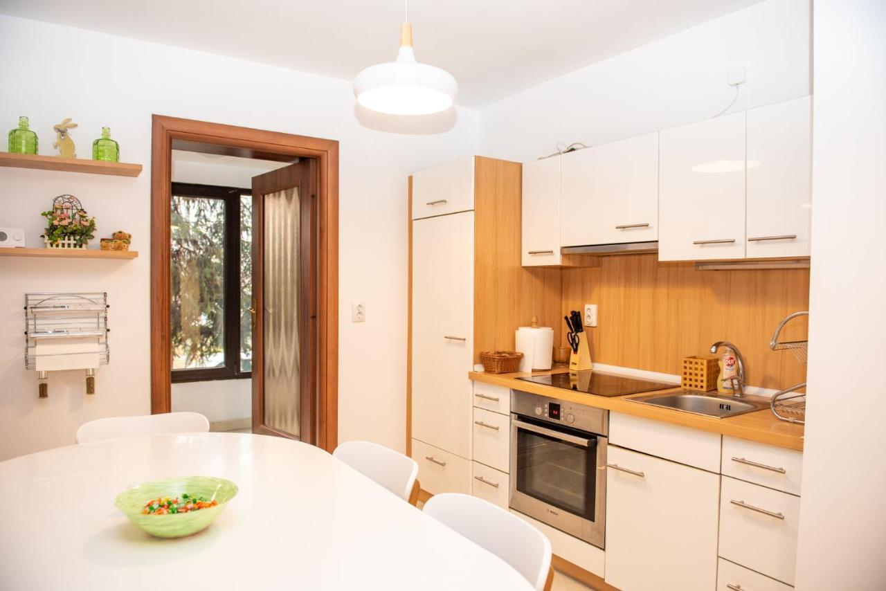 Classic Apartment Near The City Center Kolozsvár Kültér fotó
