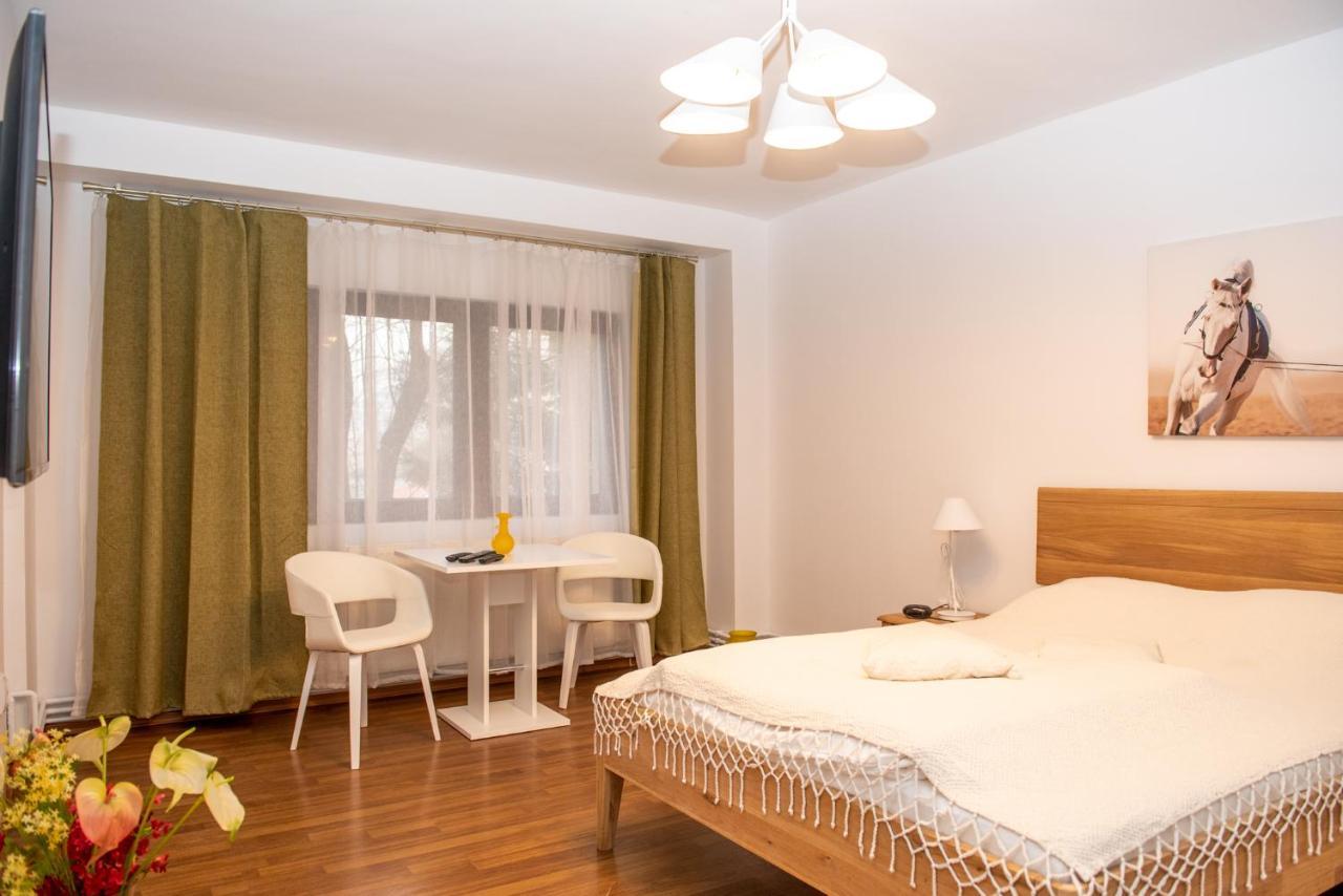 Classic Apartment Near The City Center Kolozsvár Kültér fotó