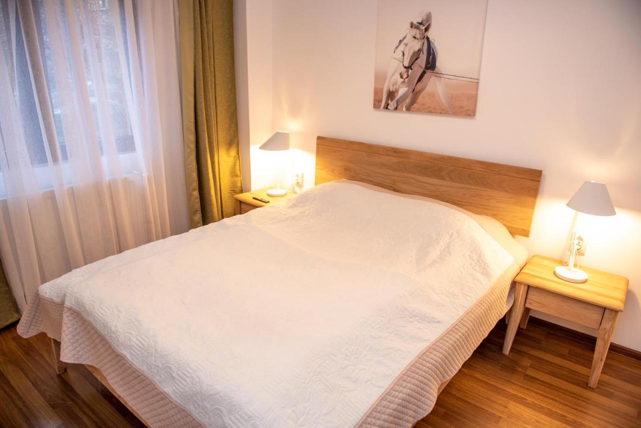 Classic Apartment Near The City Center Kolozsvár Kültér fotó