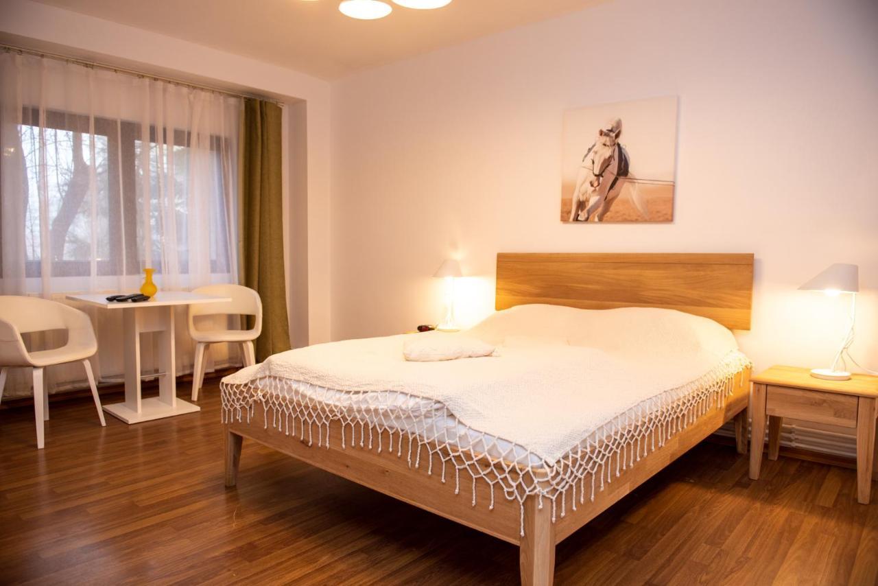 Classic Apartment Near The City Center Kolozsvár Kültér fotó