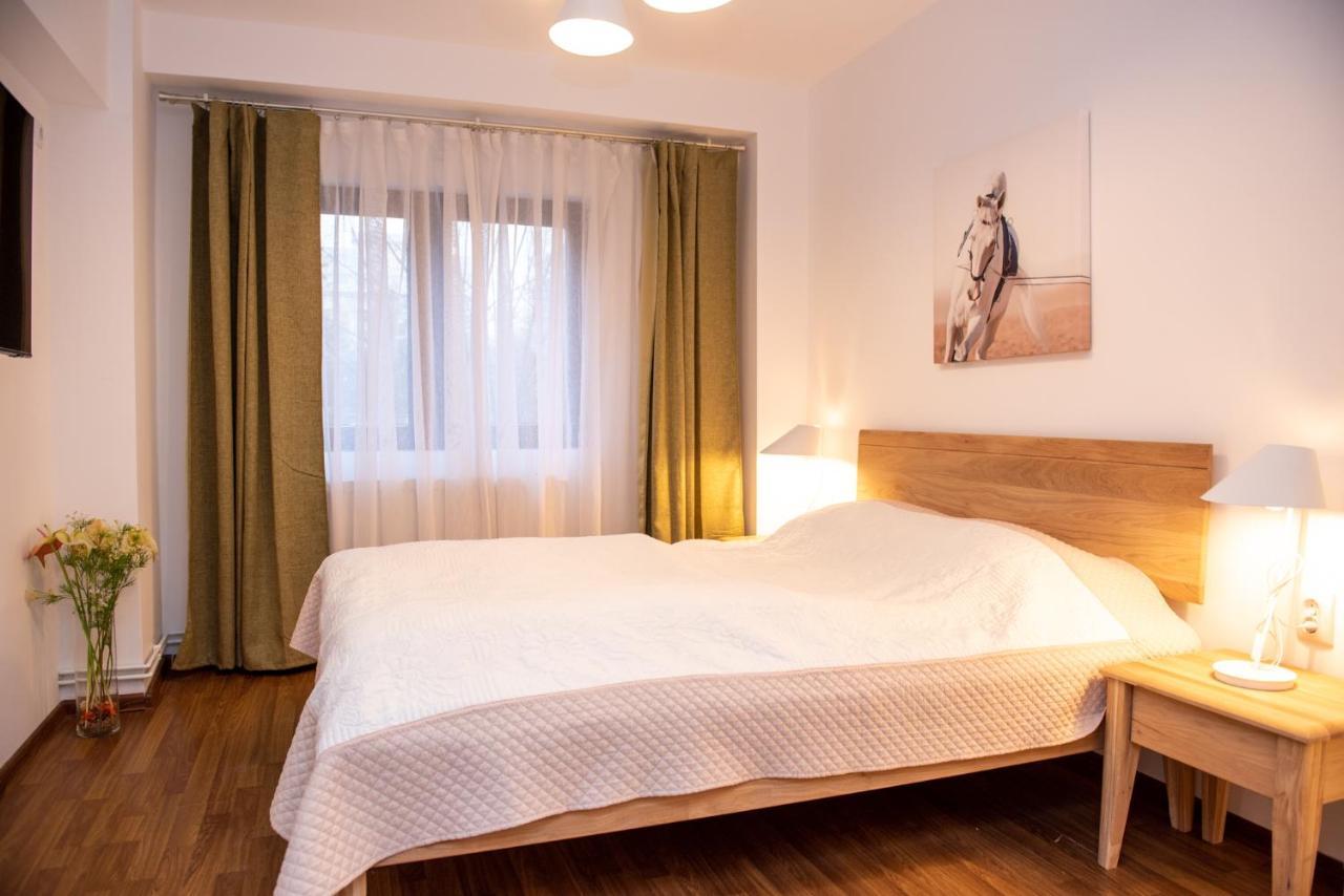 Classic Apartment Near The City Center Kolozsvár Kültér fotó