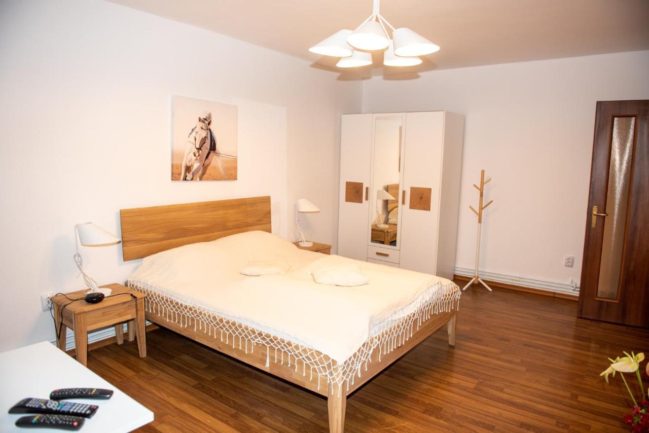 Classic Apartment Near The City Center Kolozsvár Kültér fotó